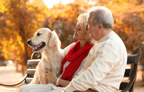 Couple and dog