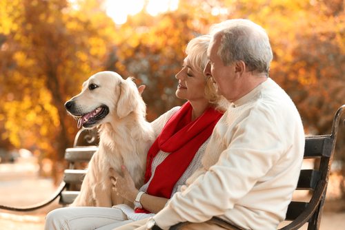 Couple and dog